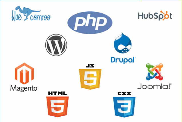Existing Website maintenance