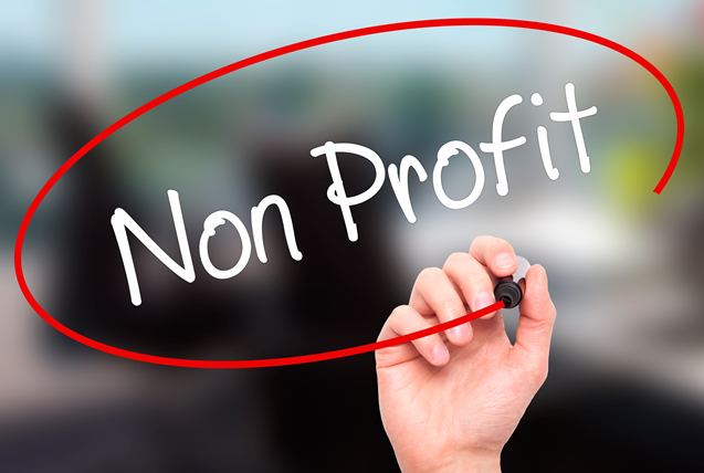 Non-Profit Websites